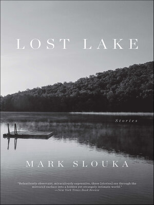 cover image of Lost Lake
